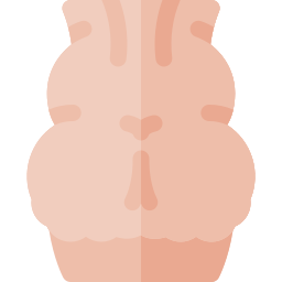 cellulite icona