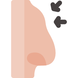 rhinoplastie Icône