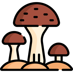 Mushroom icon