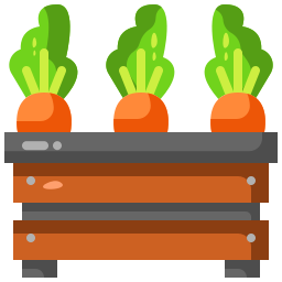 les carottes Icône