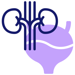 Kidney icon