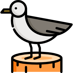 gaviota icono