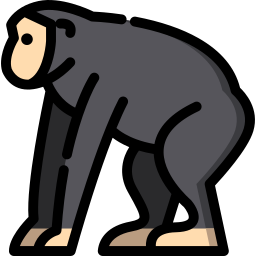 scimpanzé icona