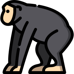 Chimpanzee icon