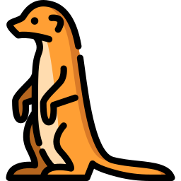 suricate Icône