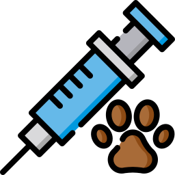 Syringe icon