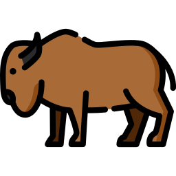 bizon icoon
