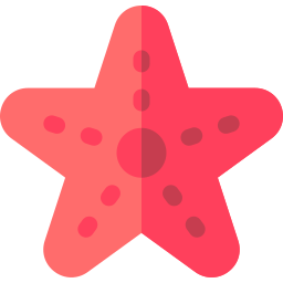 estrella de mar icono