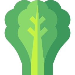 Lettuce icon