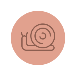 caracol Ícone