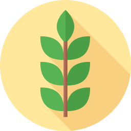 Olive icon