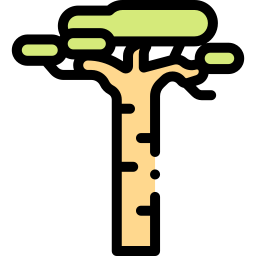 Baobab icon