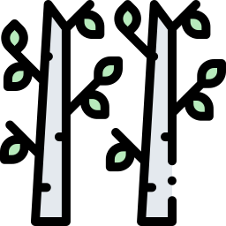 Birch icon