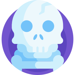 skelet icoon