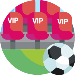 vip icon