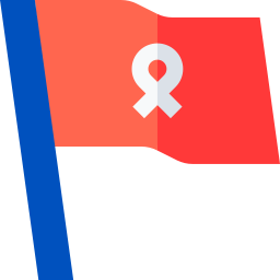 Flag icon