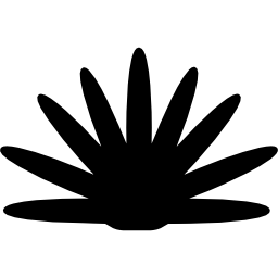 agave plant silhouet van mexico icoon