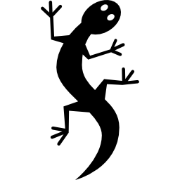 gecko Ícone