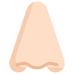 nariz icono