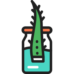 Aloe vera icon