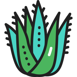 Aloe vera icon