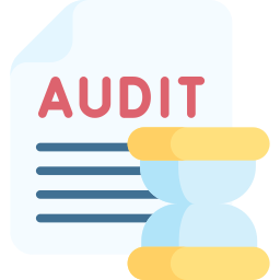 Audit icon