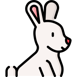 Rabbit icon