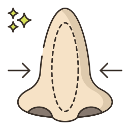 rinoplastica icona