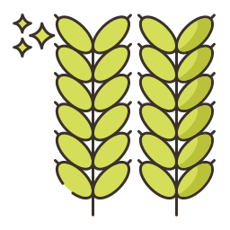 곡물 icon