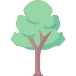 Tree icon