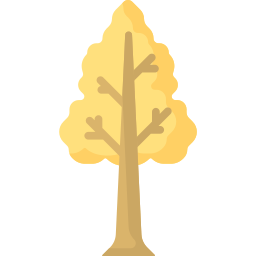 Árbol icono