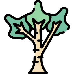 Árbol icono