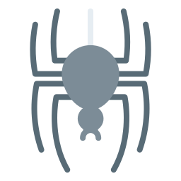 Spider icon