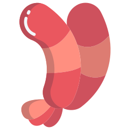 Shrimp icon