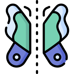 simmetria icona