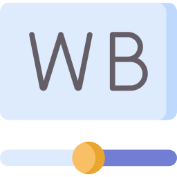witbalans icoon