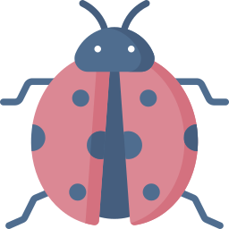 Ladybug icon