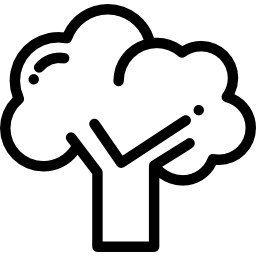 Broccoli icon