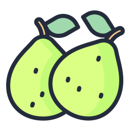 Guava icon