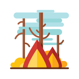 Forest fire icon