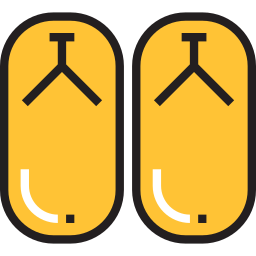 flip flops icon