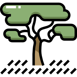 baum icon