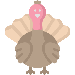 Turkey icon