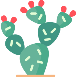 kaktus amerykański ikona