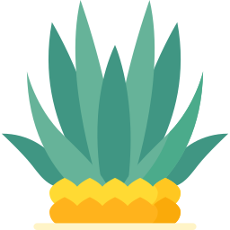 agave icon