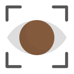 Visibility icon