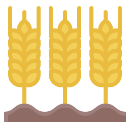 Wheat icon