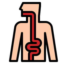 intestin Icône