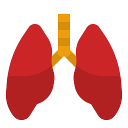 pulmones icono