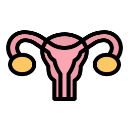 Uterus icon